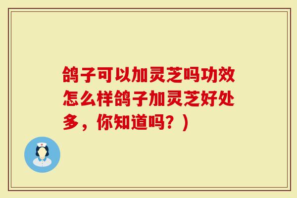 鸽子可以加灵芝吗功效怎么样鸽子加灵芝好处多，你知道吗？)