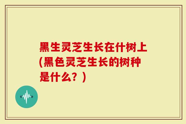 黑生灵芝生长在什树上(黑色灵芝生长的树种是什么？)