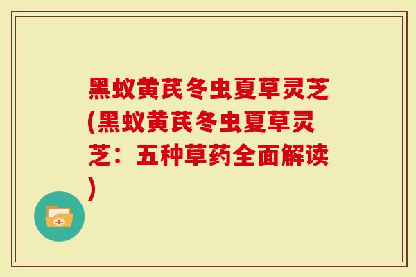 黑蚁黄芪冬虫夏草灵芝(黑蚁黄芪冬虫夏草灵芝：五种草药全面解读)