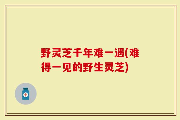 野灵芝千年难一遇(难得一见的野生灵芝)