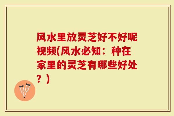 风水里放灵芝好不好呢视频(风水必知：种在家里的灵芝有哪些好处？)