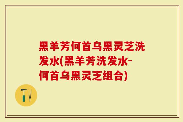 黑羊芳何首乌黑灵芝洗发水(黑羊芳洗发水-何首乌黑灵芝组合)