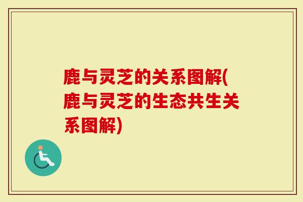 鹿与灵芝的关系图解(鹿与灵芝的生态共生关系图解)