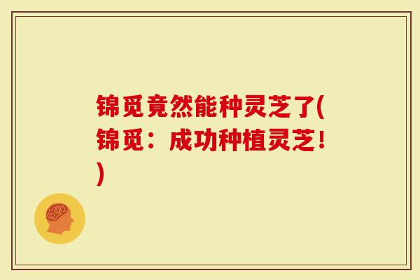锦觅竟然能种灵芝了(锦觅：成功种植灵芝！)