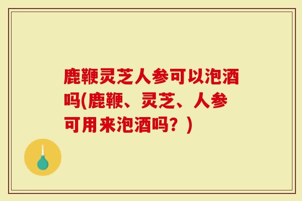 鹿鞭灵芝人参可以泡酒吗(鹿鞭、灵芝、人参可用来泡酒吗？)