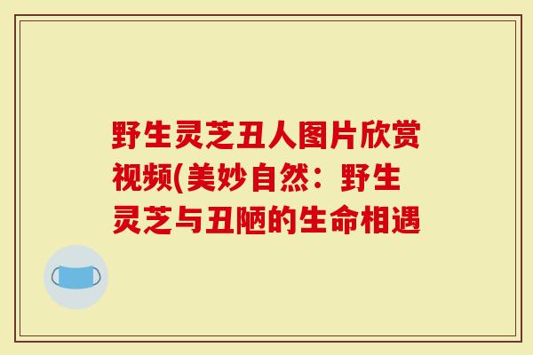 野生灵芝丑人图片欣赏视频(美妙自然：野生灵芝与丑陋的生命相遇