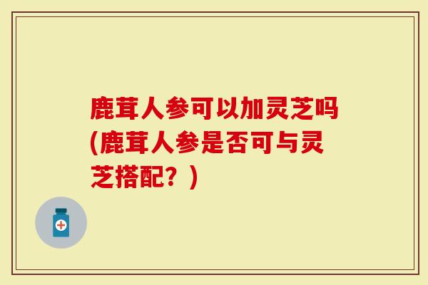 鹿茸人参可以加灵芝吗(鹿茸人参是否可与灵芝搭配？)