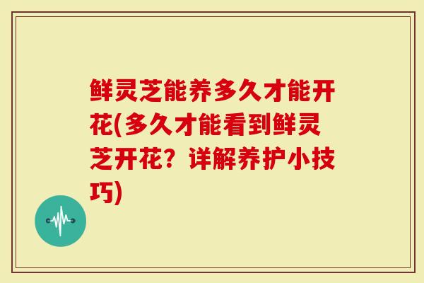 鲜灵芝能养多久才能开花(多久才能看到鲜灵芝开花?详解养护小技巧)-第1张图片-灵芝大师 鲜灵芝能养多久才能开花(多久才能看到鲜灵芝开花?详解养护小技巧)-第1张图片-灵芝大师