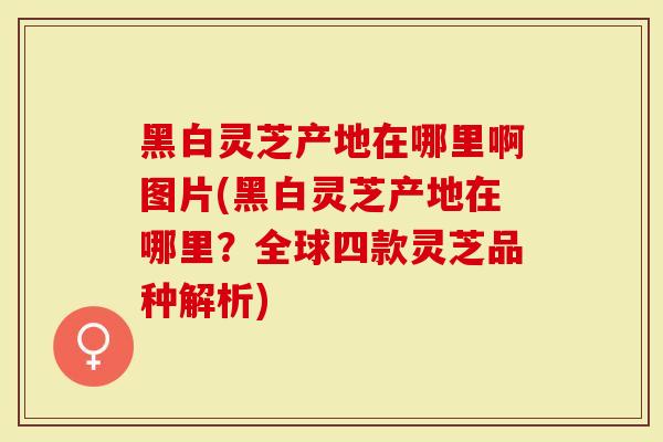 黑白灵芝产地在哪里啊图片(黑白灵芝产地在哪里？全球四款灵芝品种解析)