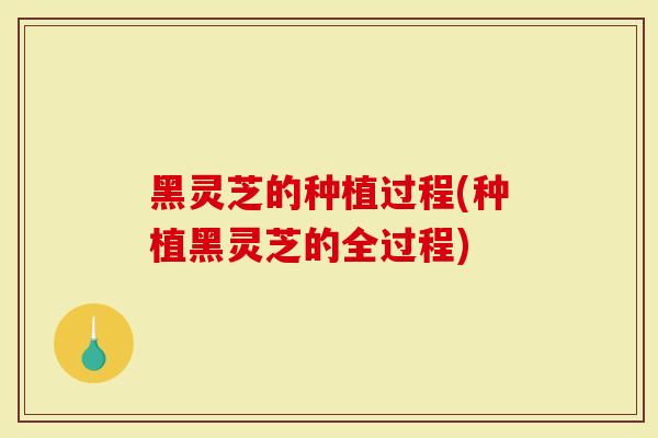 黑灵芝的种植过程(种植黑灵芝的全过程)