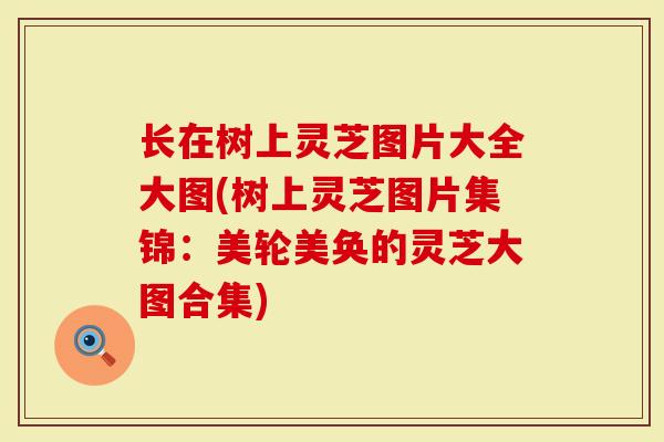 长在树上灵芝图片大全大图(树上灵芝图片集锦：美轮美奂的灵芝大图合集)
