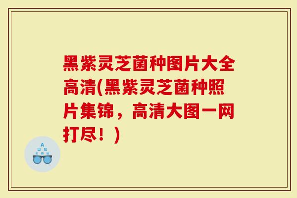 黑紫灵芝菌种图片大全高清(黑紫灵芝菌种照片集锦，高清大图一网打尽！)