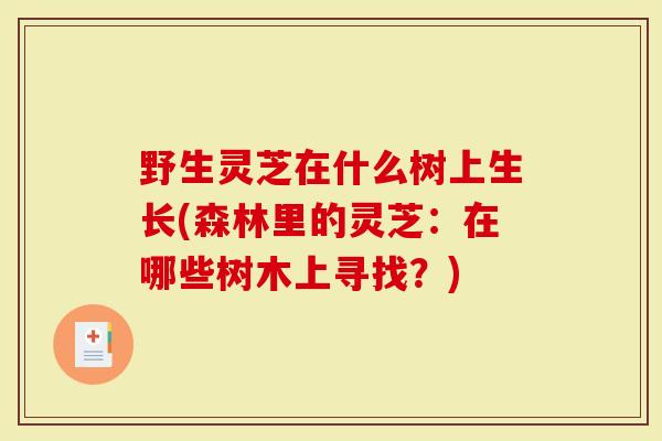 野生灵芝在什么树上生长(森林里的灵芝：在哪些树木上寻找？)