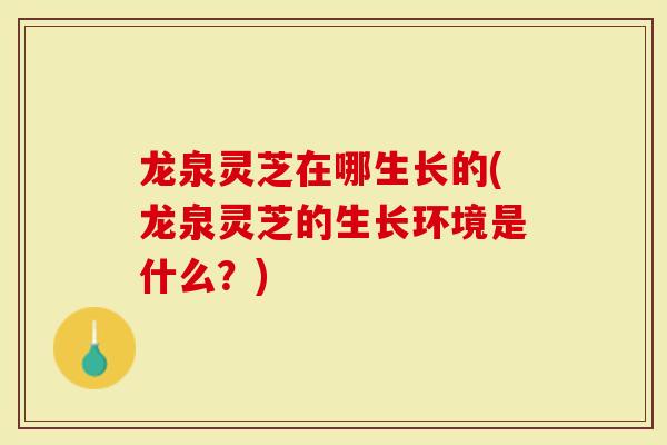龙泉灵芝在哪生长的(龙泉灵芝的生长环境是什么?)-第1张图片-灵芝大师 龙泉灵芝在哪生长的(龙泉灵芝的生长环境是什么?)-第1张图片-灵芝大师