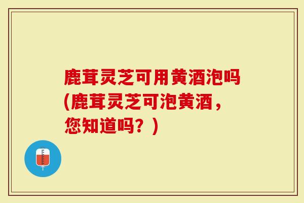 鹿茸灵芝可用黄酒泡吗(鹿茸灵芝可泡黄酒，您知道吗？)