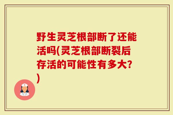 野生灵芝根部断了还能活吗(灵芝根部断裂后存活的可能性有多大？)-第1张图片-灵芝大师