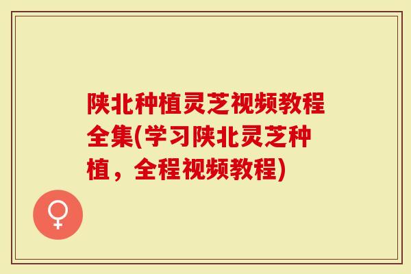 陕北种植灵芝视频教程全集(学习陕北灵芝种植，全程视频教程)