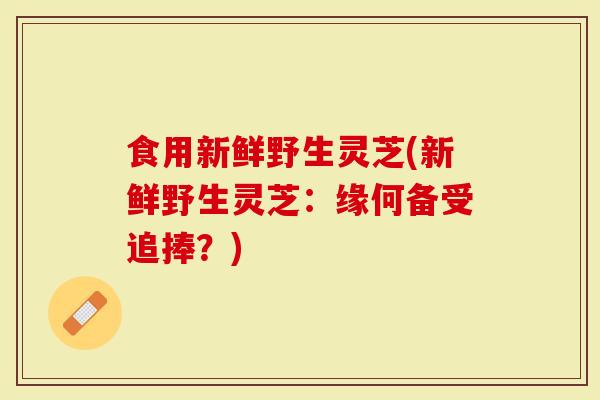 食用新鲜野生灵芝(新鲜野生灵芝：缘何备受追捧？)