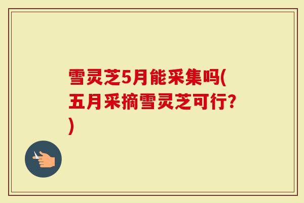 雪灵芝5月能采集吗(五月采摘雪灵芝可行？)