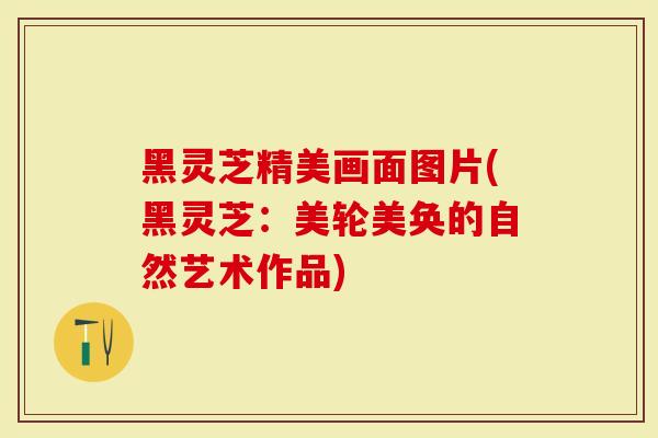 黑灵芝精美画面图片(黑灵芝：美轮美奂的自然艺术作品)