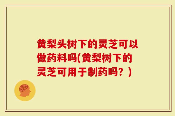 黄梨头树下的灵芝可以做药料吗(黄梨树下的灵芝可用于制药吗？)