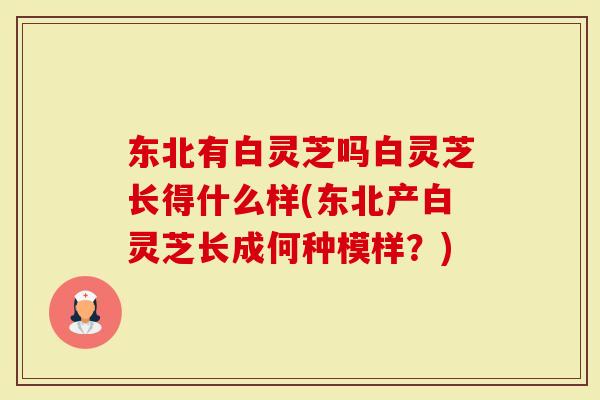 东北有白灵芝吗白灵芝长得什么样(东北产白灵芝长成何种模样？)-第1张图片-灵芝大师