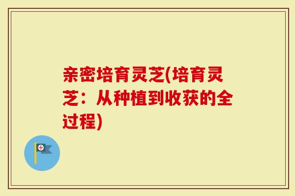 亲密培育灵芝(培育灵芝：从种植到收获的全过程)-第1张图片-灵芝大师