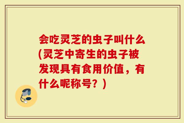 会吃灵芝的虫子叫什么(灵芝中寄生的虫子被发现具有食用价值,有什么呢称号?)-第1张图片-灵芝大师 会吃灵芝的虫子叫什么(灵芝中寄生的虫子被发现具有食用价值,有什么呢称号?)-第1张图片-灵芝大师