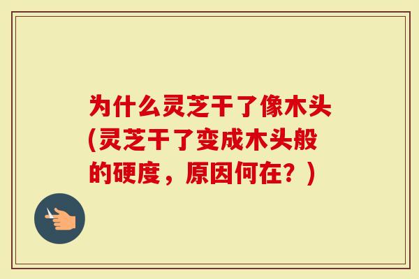 为什么灵芝干了像木头(灵芝干了变成木头般的硬度,原因何在?)-第1张图片-灵芝大师 为什么灵芝干了像木头(灵芝干了变成木头般的硬度,原因何在?)-第1张图片-灵芝大师