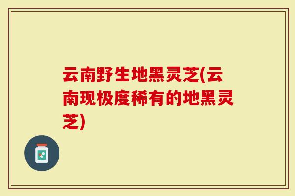 云南野生地黑灵芝(云南现极度稀有的地黑灵芝)-第1张图片-灵芝大师 云南野生地黑灵芝(云南现极度稀有的地黑灵芝)-第1张图片-灵芝大师