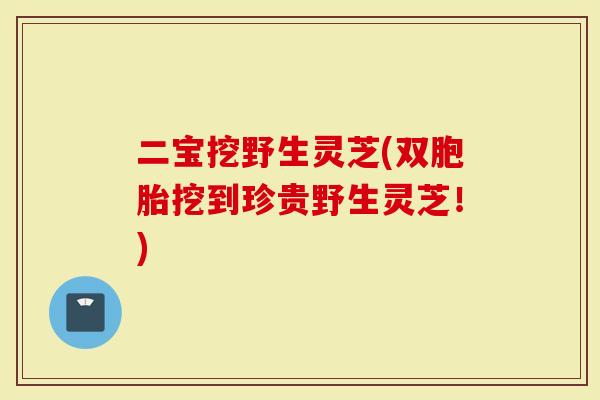 二宝挖野生灵芝(双胞胎挖到珍贵野生灵芝!)-第1张图片-灵芝大师 二宝挖野生灵芝(双胞胎挖到珍贵野生灵芝!)-第1张图片-灵芝大师