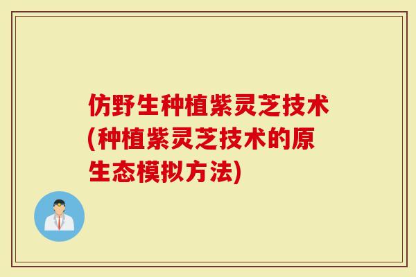 仿野生种植紫灵芝技术(种植紫灵芝技术的原生态模拟方法)-第1张图片-灵芝大师 仿野生种植紫灵芝技术(种植紫灵芝技术的原生态模拟方法)-第1张图片-灵芝大师