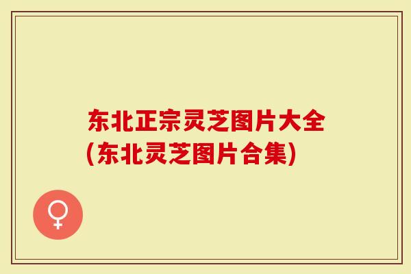 东北正宗灵芝图片大全(东北灵芝图片合集)-第1张图片-灵芝大师