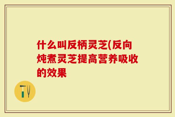 什么叫反柄灵芝(反向炖煮灵芝提高营养吸收的效果-第1张图片-灵芝大师