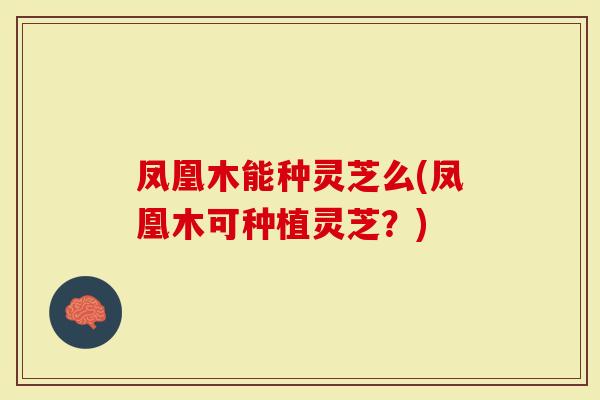 凤凰木能种灵芝么(凤凰木可种植灵芝?)-第1张图片-灵芝大师 凤凰木能种灵芝么(凤凰木可种植灵芝?)-第1张图片-灵芝大师