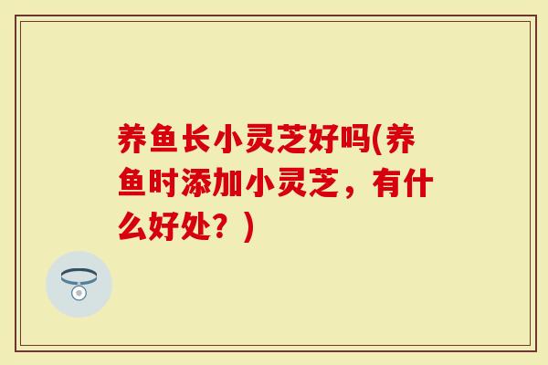 养鱼长小灵芝好吗(养鱼时添加小灵芝,有什么好处?)-第1张图片-灵芝大师 养鱼长小灵芝好吗(养鱼时添加小灵芝,有什么好处?)-第1张图片-灵芝大师