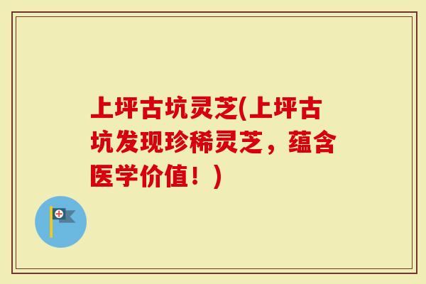 上坪古坑灵芝(上坪古坑发现珍稀灵芝,蕴含医学价值!)-第1张图片-灵芝大师 上坪古坑灵芝(上坪古坑发现珍稀灵芝,蕴含医学价值!)-第1张图片-灵芝大师