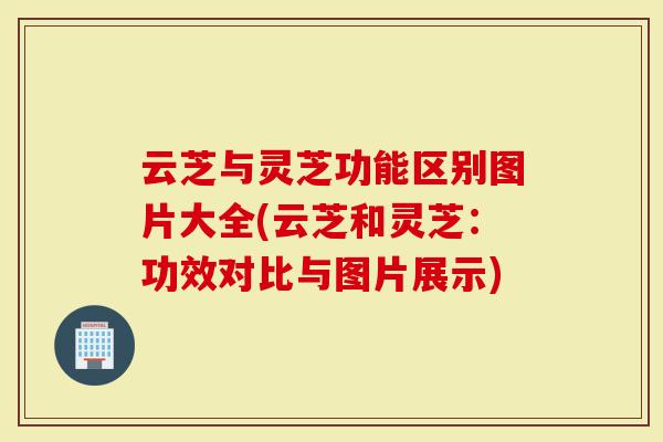 云芝与灵芝功能区别图片大全(云芝和灵芝:功效对比与图片展示)-第1张图片-灵芝大师 云芝与灵芝功能区别图片大全(云芝和灵芝:功效对比与图片展示)-第1张图片-灵芝大师