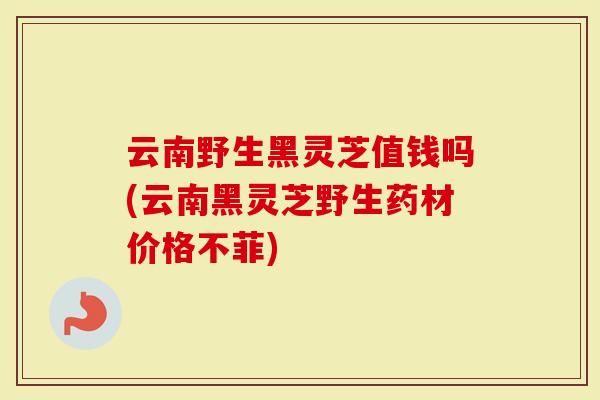 云南野生黑灵芝值钱吗(云南黑灵芝野生药材价格不菲)-第1张图片-灵芝大师 云南野生黑灵芝值钱吗(云南黑灵芝野生药材价格不菲)-第1张图片-灵芝大师