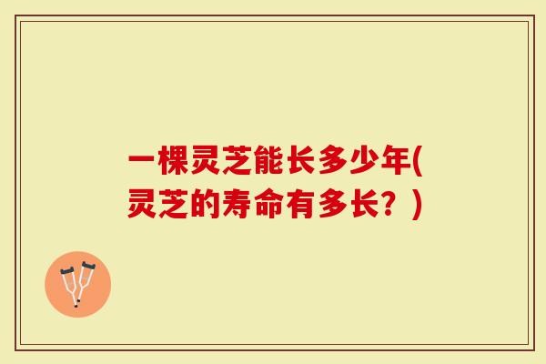 一棵灵芝能长多少年(灵芝的寿命有多长?)-第1张图片-灵芝大师 一棵灵芝能长多少年(灵芝的寿命有多长?)-第1张图片-灵芝大师