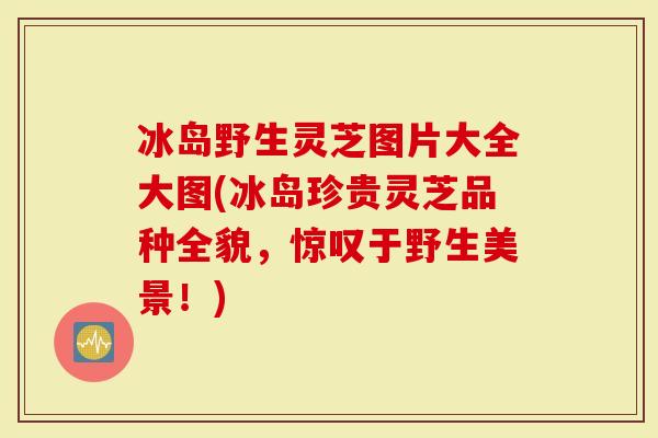 冰岛野生灵芝图片大全大图(冰岛珍贵灵芝品种全貌，惊叹于野生美景！)