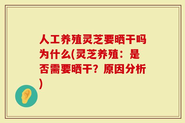 人工养殖灵芝要晒干吗为什么(灵芝养殖：是否需要晒干？原因分析)