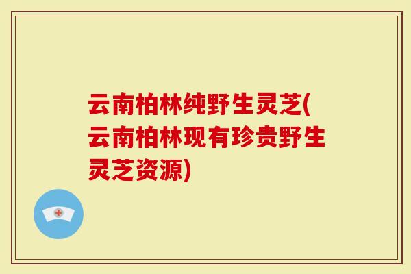 云南柏林纯野生灵芝(云南柏林现有珍贵野生灵芝资源)