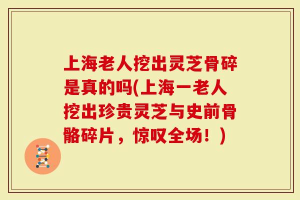 上海老人挖出灵芝骨碎是真的吗(上海一老人挖出珍贵灵芝与史前骨骼碎片,惊叹全场!)-第1张图片-灵芝大师 上海老人挖出灵芝骨碎是真的吗(上海一老人挖出珍贵灵芝与史前骨骼碎片,惊叹全场!)-第1张图片-灵芝大师