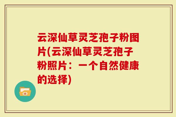 云深仙草灵芝孢子粉图片(云深仙草灵芝孢子粉照片：一个自然健康的选择)