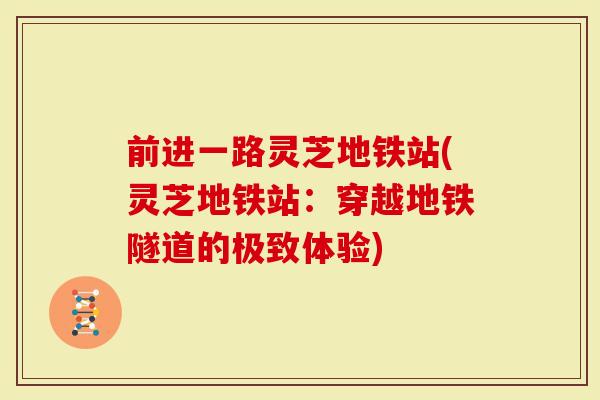 前进一路灵芝地铁站(灵芝地铁站：穿越地铁隧道的极致体验)