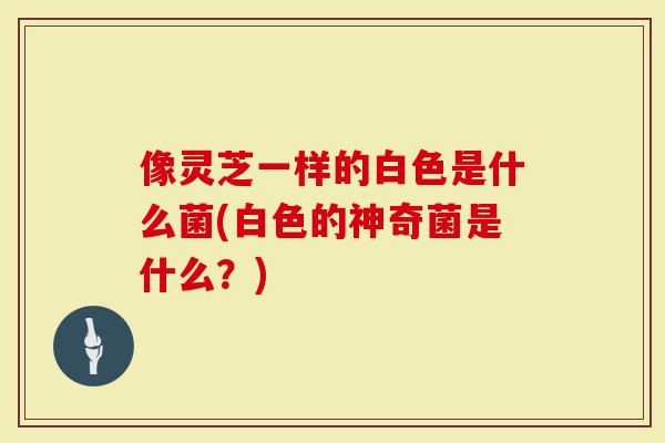 像灵芝一样的白色是什么菌(白色的神奇菌是什么？)