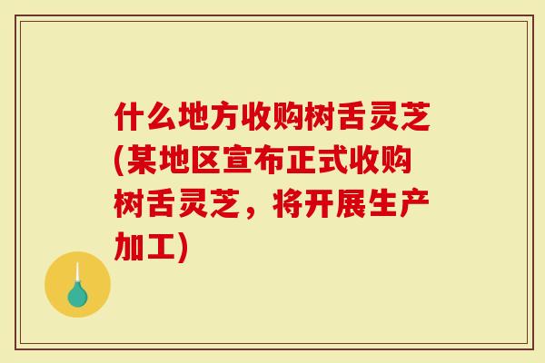 什么地方收购树舌灵芝(某地区宣布正式收购树舌灵芝，将开展生产加工)