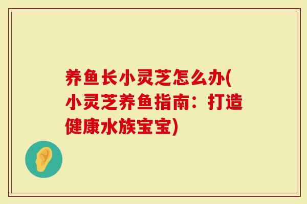 养鱼长小灵芝怎么办(小灵芝养鱼指南:打造健康水族宝宝)-第1张图片-灵芝大师 养鱼长小灵芝怎么办(小灵芝养鱼指南:打造健康水族宝宝)-第1张图片-灵芝大师