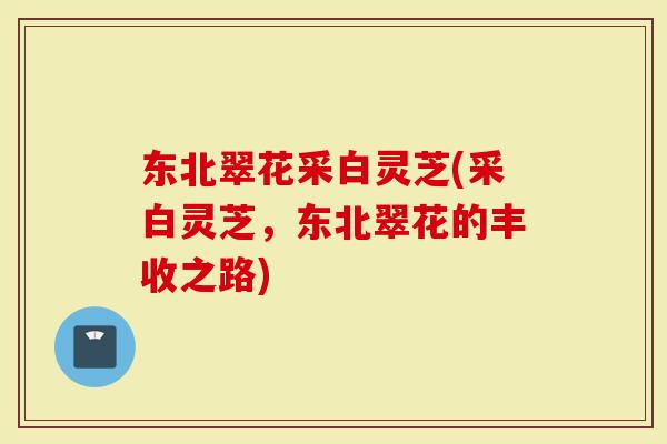 东北翠花采白灵芝(采白灵芝，东北翠花的丰收之路)